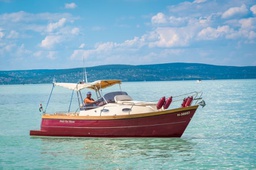 Wia 265